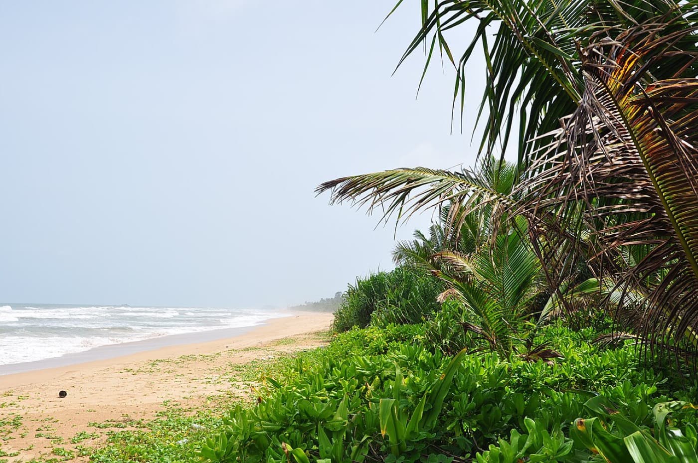 Ayurveda Wellness Retreat in Bentota