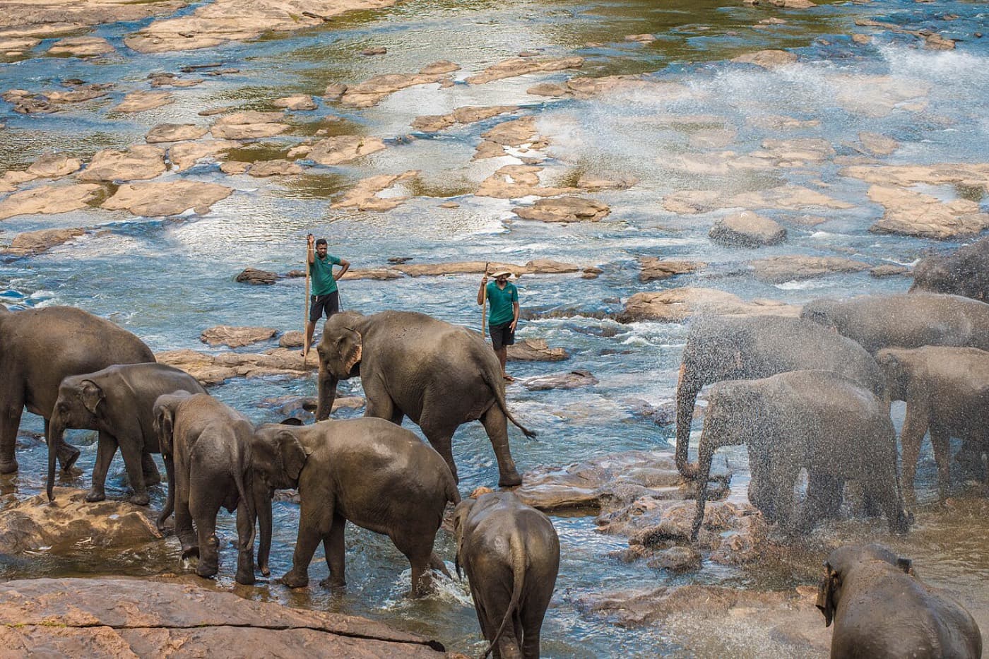 Sri Lanka Family Adventure in Sigiriya